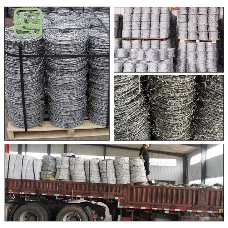Military Concertina Wire high quality Military Concertina Wire high quality