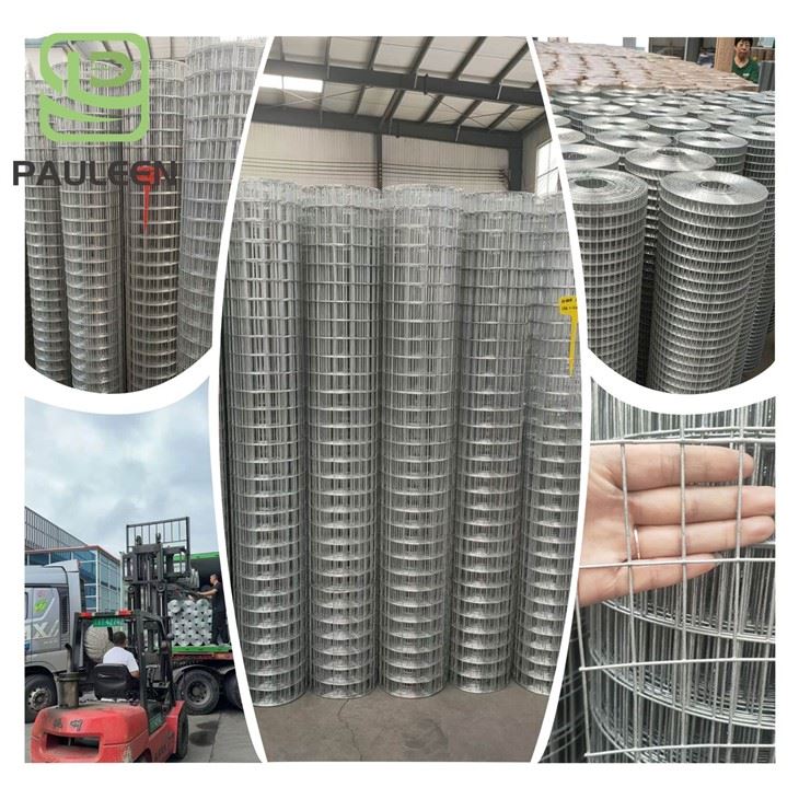 Rectangle Hole Wire Mesh Roll price